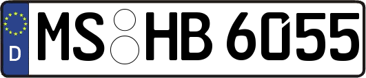 MS-HB6055