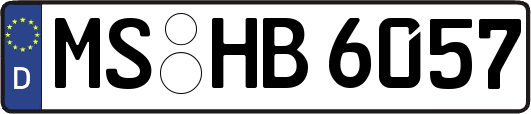 MS-HB6057