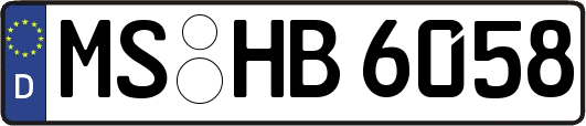 MS-HB6058