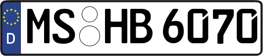 MS-HB6070