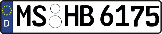 MS-HB6175