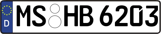 MS-HB6203