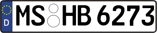 MS-HB6273