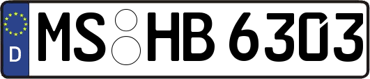 MS-HB6303