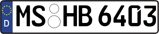 MS-HB6403