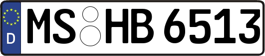 MS-HB6513