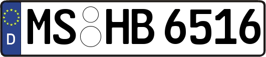 MS-HB6516