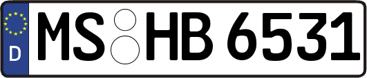 MS-HB6531