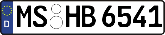 MS-HB6541