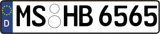 MS-HB6565