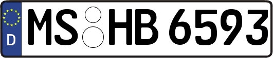 MS-HB6593