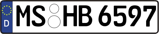 MS-HB6597