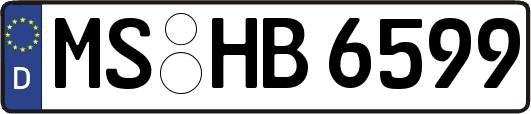 MS-HB6599