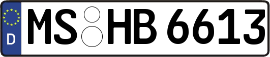 MS-HB6613