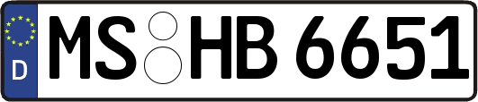 MS-HB6651