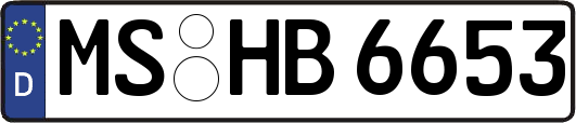 MS-HB6653