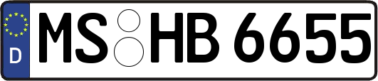 MS-HB6655