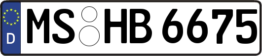 MS-HB6675