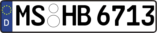 MS-HB6713