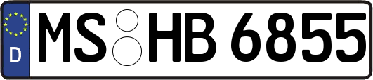 MS-HB6855