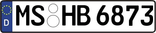 MS-HB6873