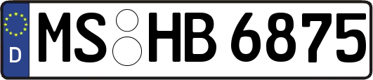 MS-HB6875