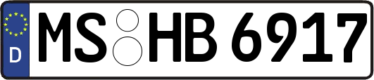 MS-HB6917