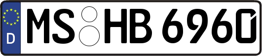 MS-HB6960