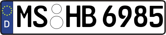 MS-HB6985