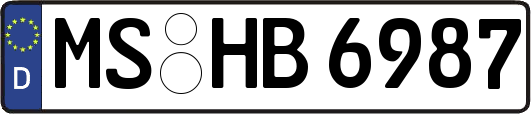 MS-HB6987