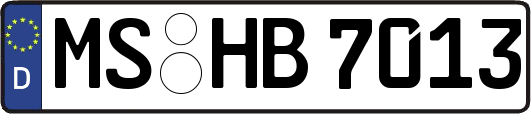 MS-HB7013