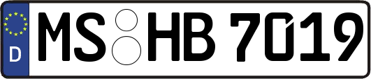MS-HB7019