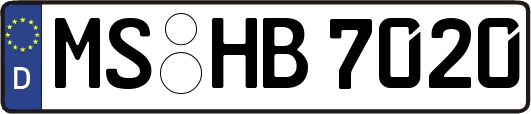 MS-HB7020
