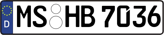 MS-HB7036