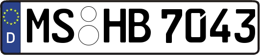 MS-HB7043