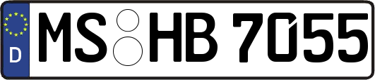 MS-HB7055