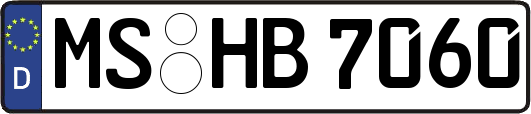 MS-HB7060