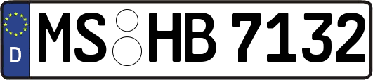 MS-HB7132