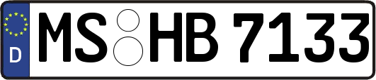 MS-HB7133
