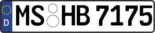 MS-HB7175