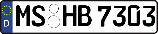 MS-HB7303