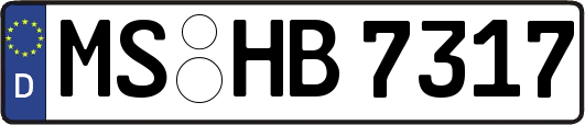 MS-HB7317