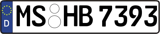 MS-HB7393