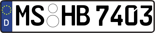 MS-HB7403