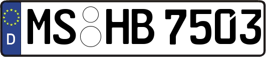 MS-HB7503