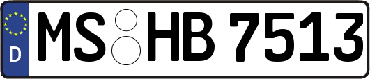 MS-HB7513