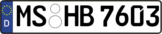 MS-HB7603