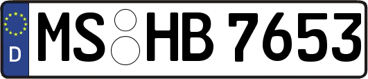 MS-HB7653