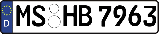 MS-HB7963