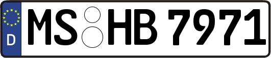 MS-HB7971